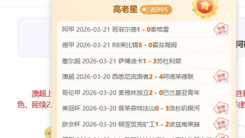 中乙联赛厦门赛区违规转包接待工作受通报批评