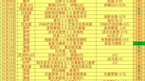 普利希奇：直面挑战，信念坚定；美国足球未来非我所虑